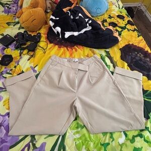 LOFT Beige Pleated Trousers size M